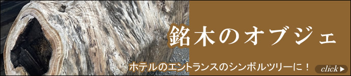 ケヤキ 株のオブジェ