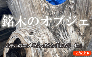 ケヤキ 株のオブジェ